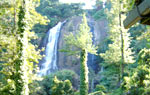 Шри Ланка. Водопад Hunas Falls